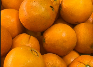 jeruk berkualitas dengan rasa segar dan juicy