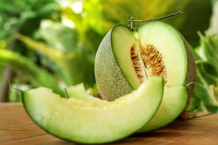 buah melon segar manis dan berair