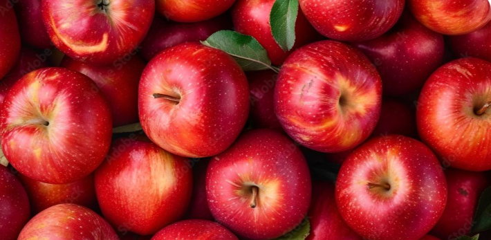buah apel segar merah dan hijau berkualitas
